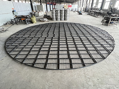 填料支撐格柵+壓柵圖片3